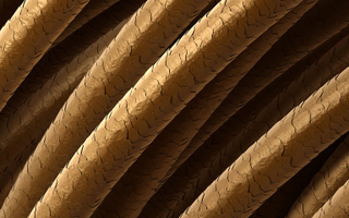Illustration for article titled Condenado a cadena perpetua por culpa de un mechón de pelo. 28 años después se descubre que era pelo de perro